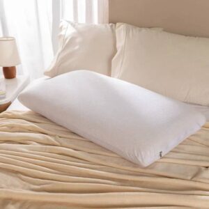 ALMOHADA VISCOELASTICA