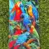 TOALLON PLAYERO ADULTO - Imagen 22